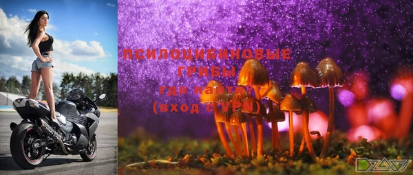 эйфоретик Богданович
