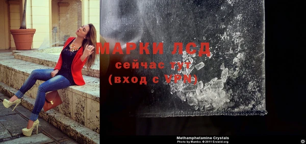 эйфоретик Богданович