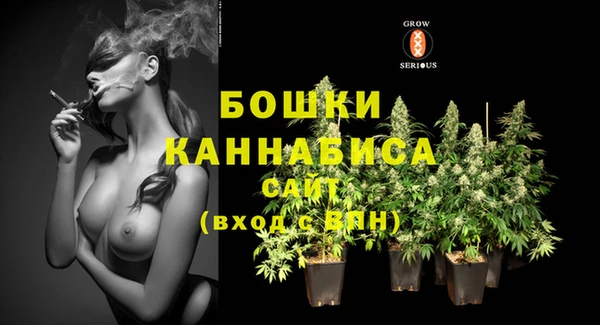 эйфоретик Богданович